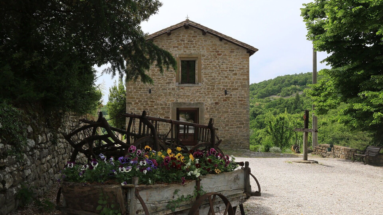 Photo of Others in Monteluiano