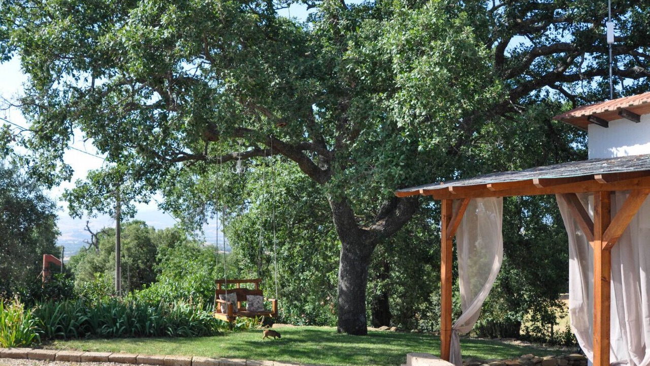 Photo of Outdoor in Scansano