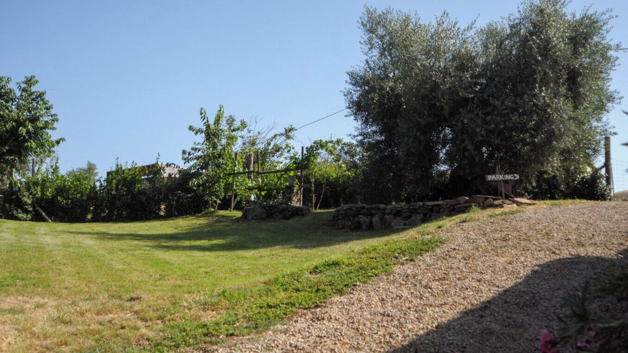 Photo of Outdoor in Scansano