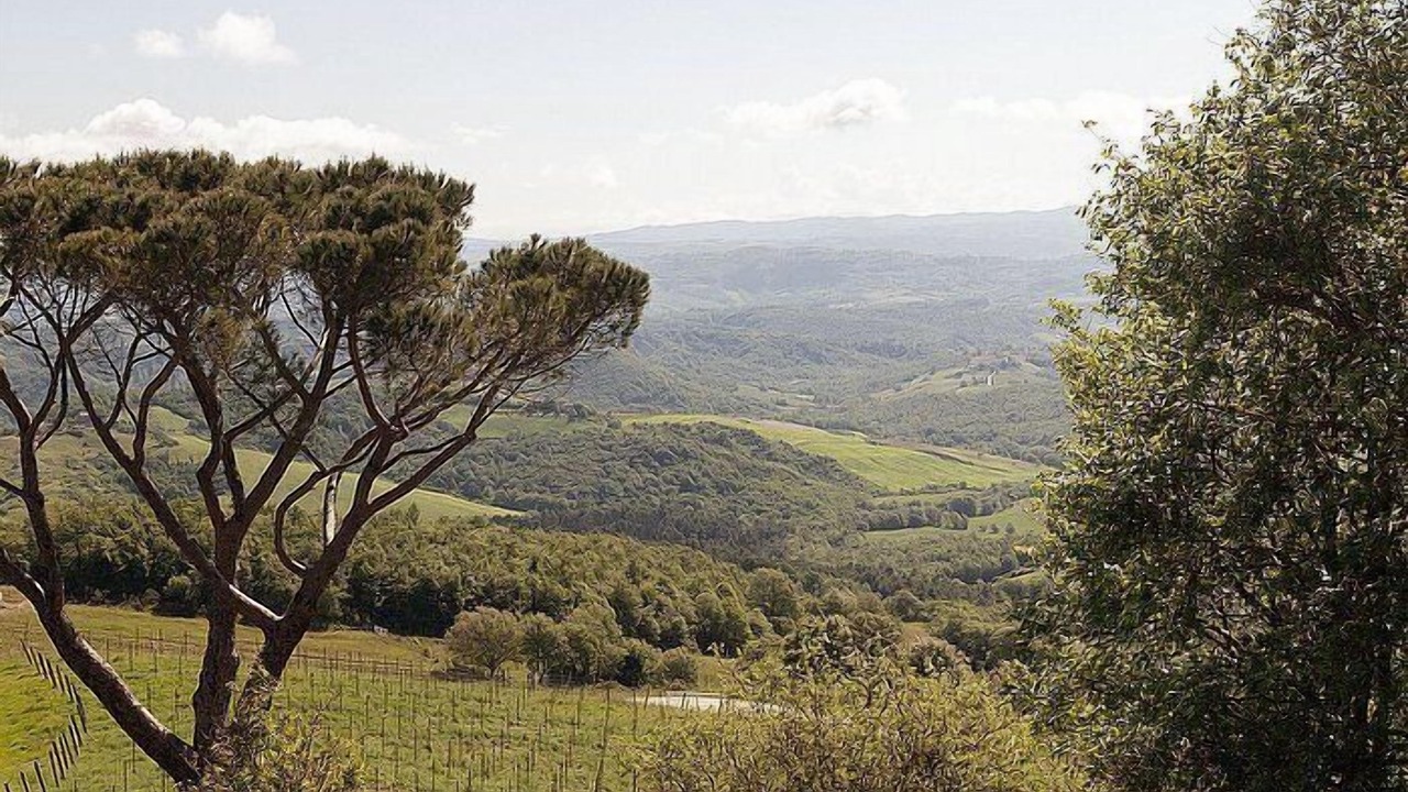 Photo of Others in Allerona