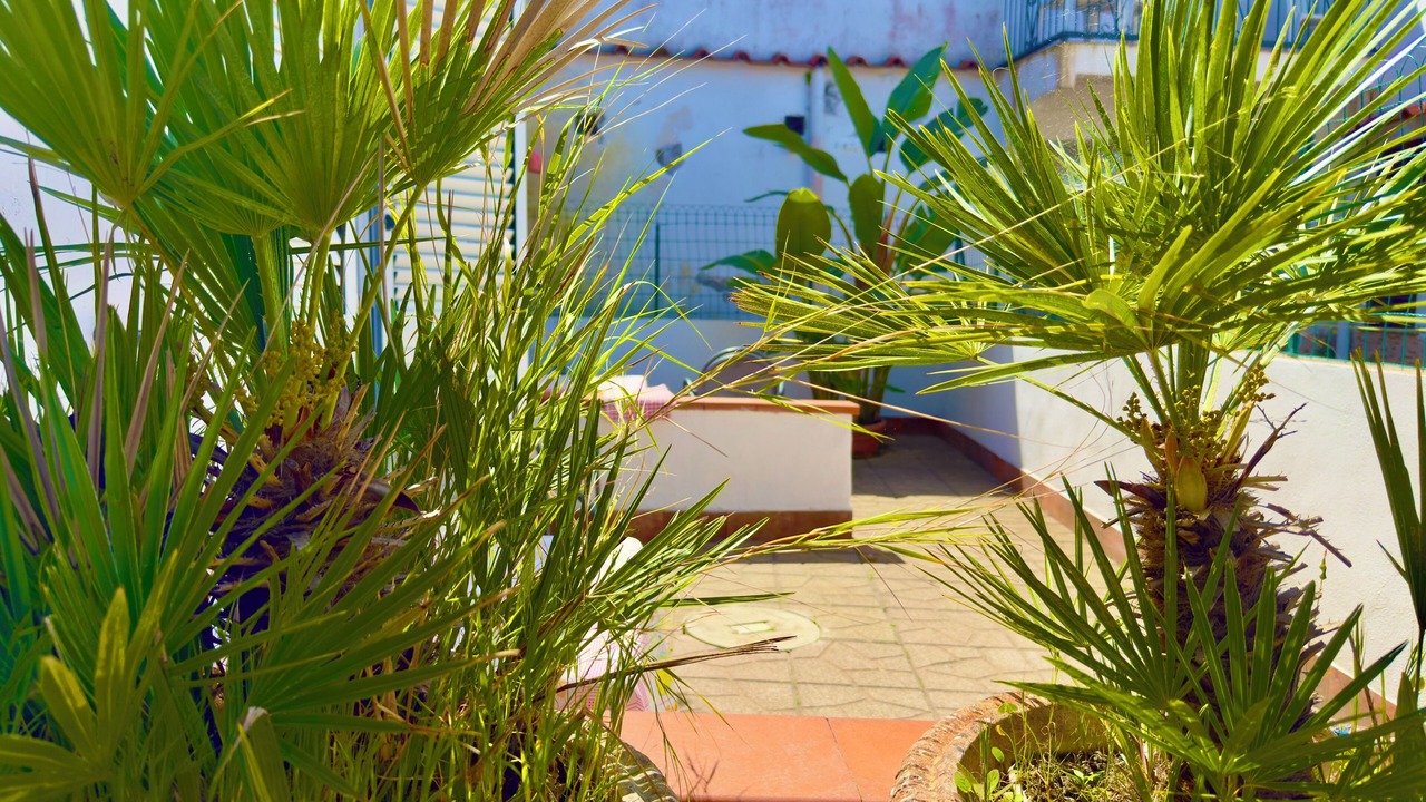Photo of Outdoor in Casamicciola Terme