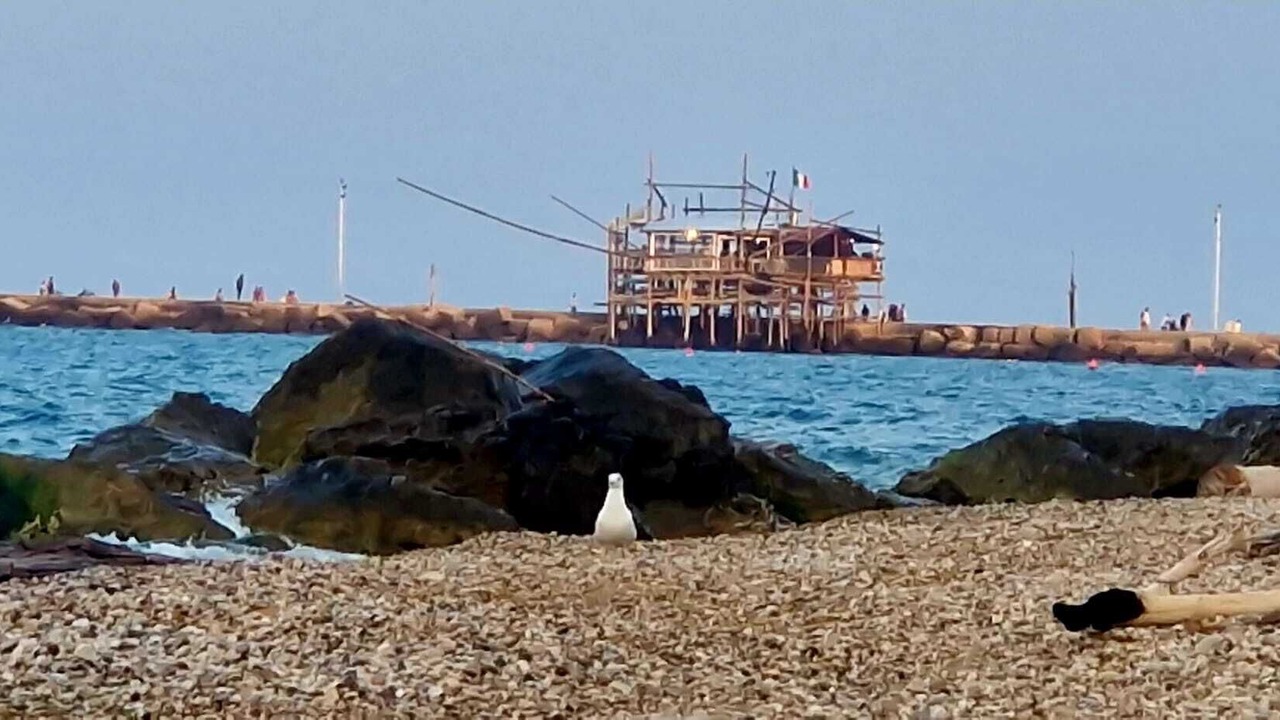 Photo of Others in San Vito Chietino