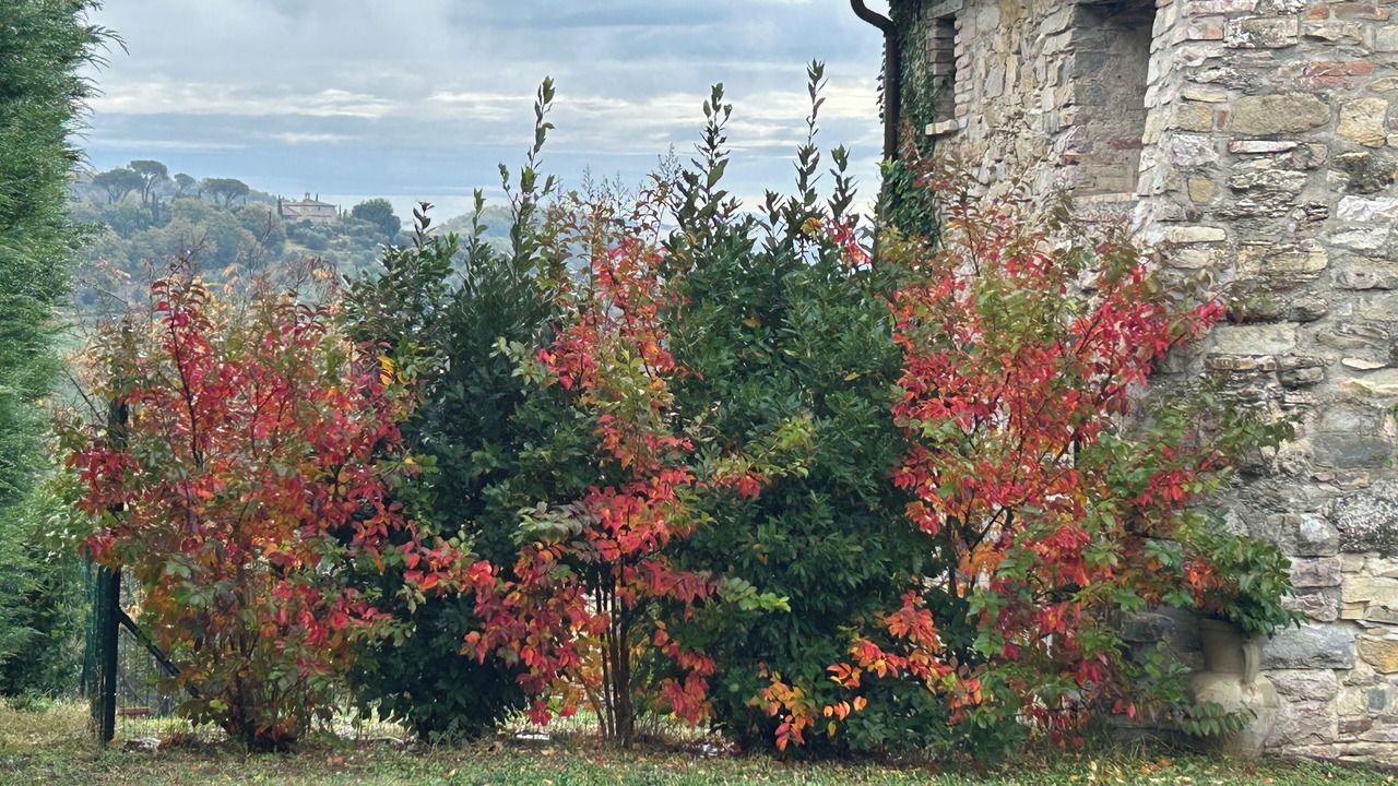 Photo of Outdoor in Montelovesco