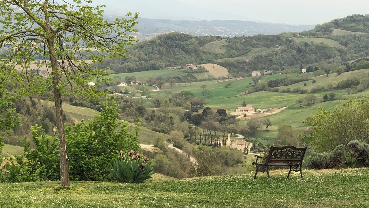 Photo of Others in Montelovesco