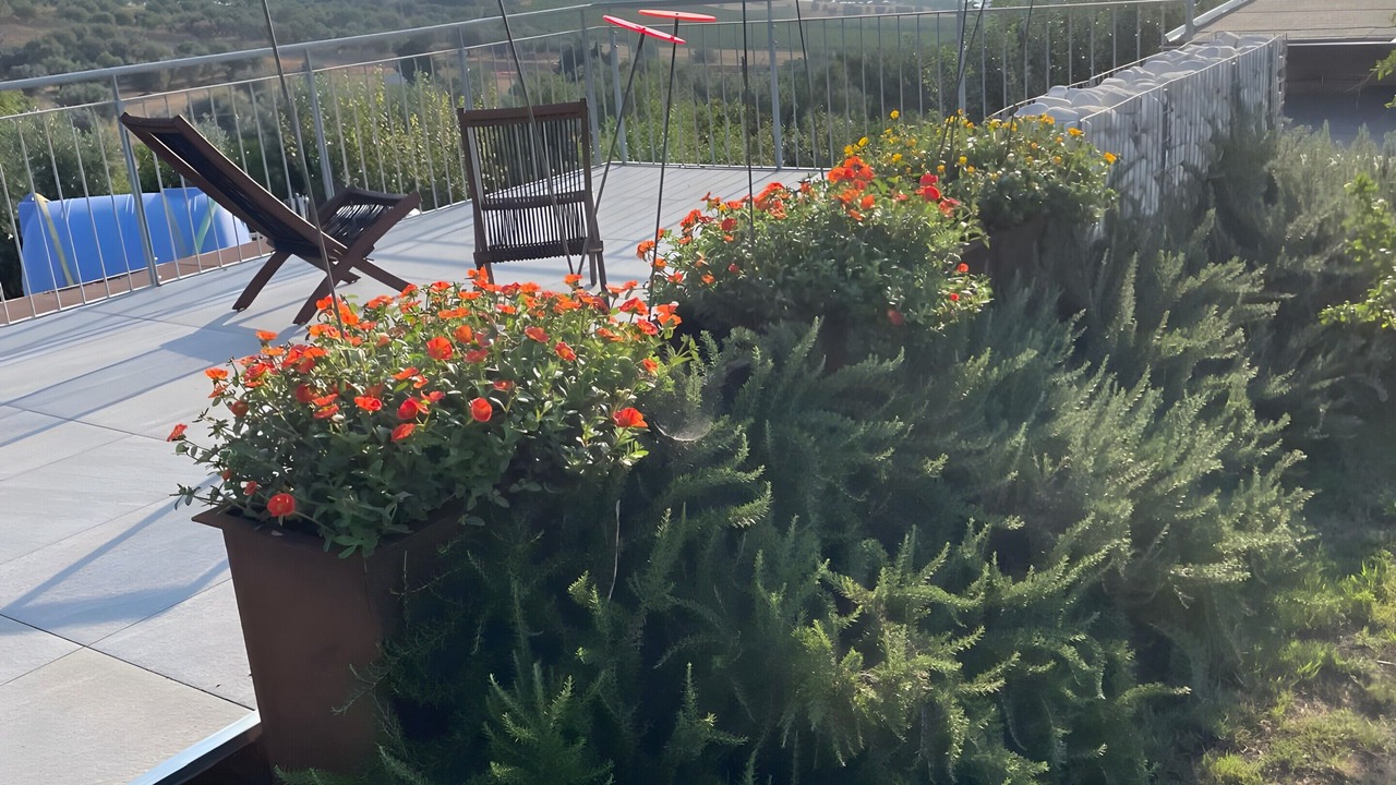 Photo of Patio Balcony in Cologna Spiaggia