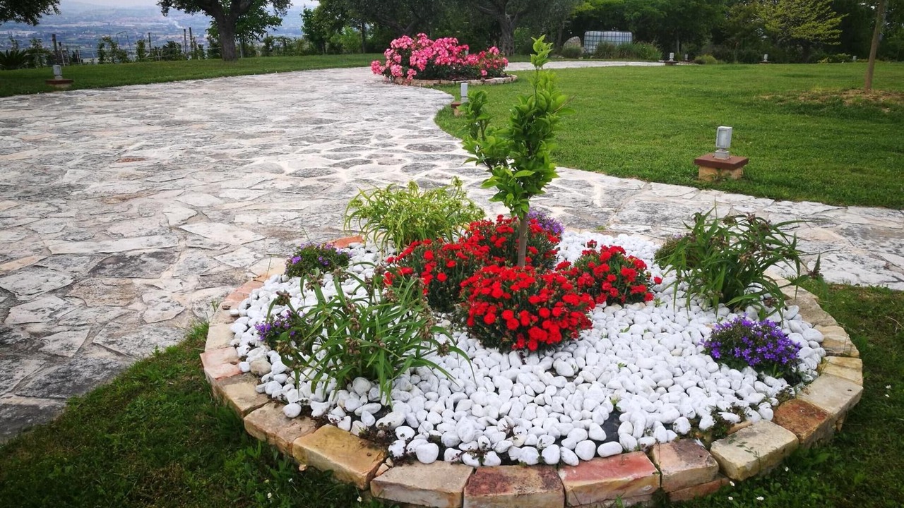 Photo of Outdoor in Cologna Spiaggia