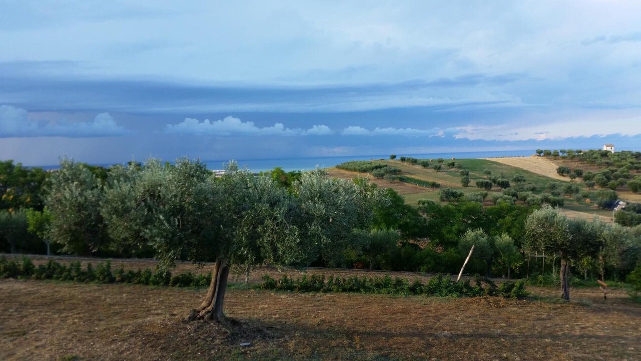 Photo of Others in Cologna Spiaggia