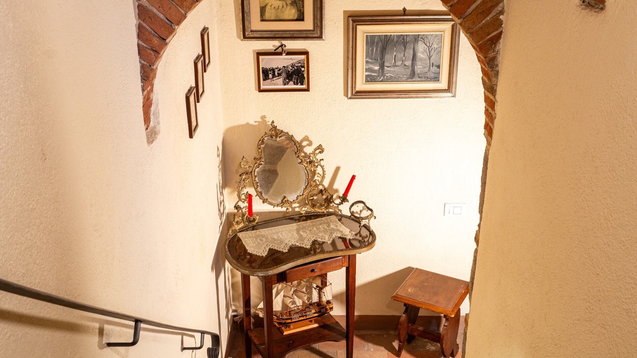 Photo of Others in Torniella