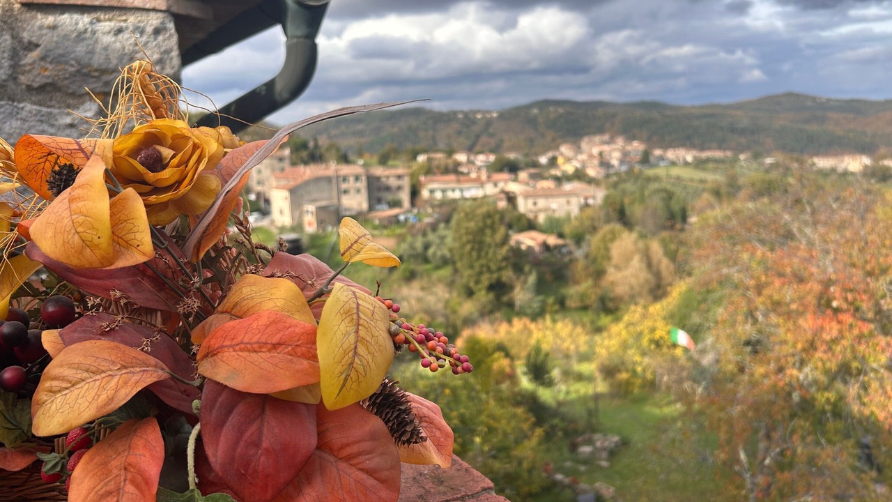 Photo of Outdoor in Torniella