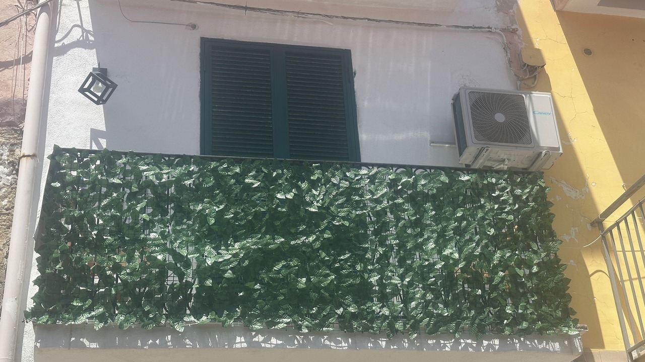 Photo of Outdoor in Naples