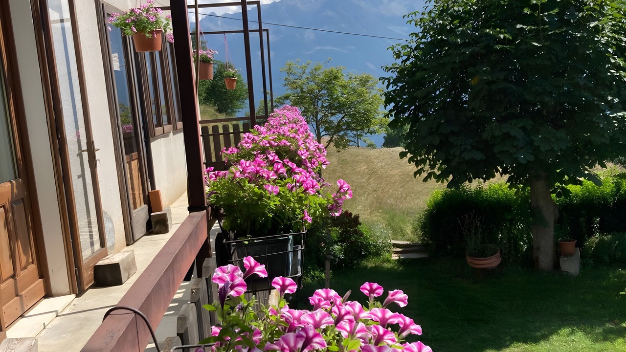 Photo of Outdoor in Saint-Denis