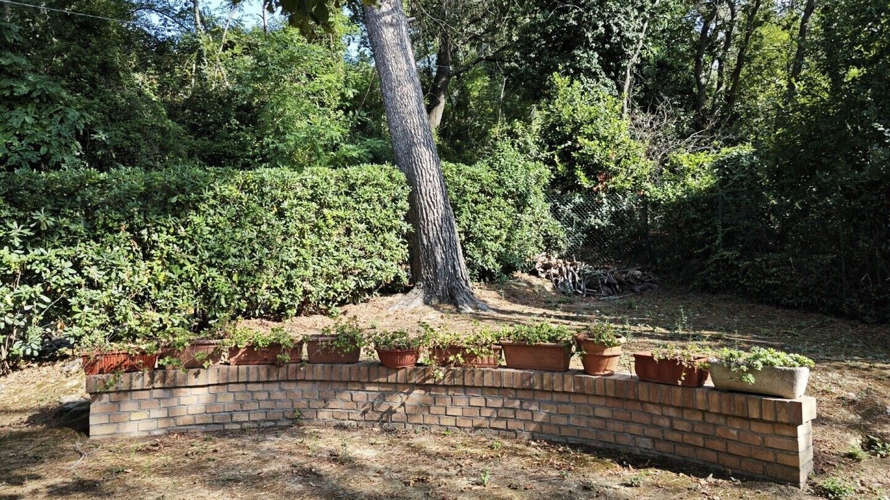 Photo of Outdoor in Pesaro