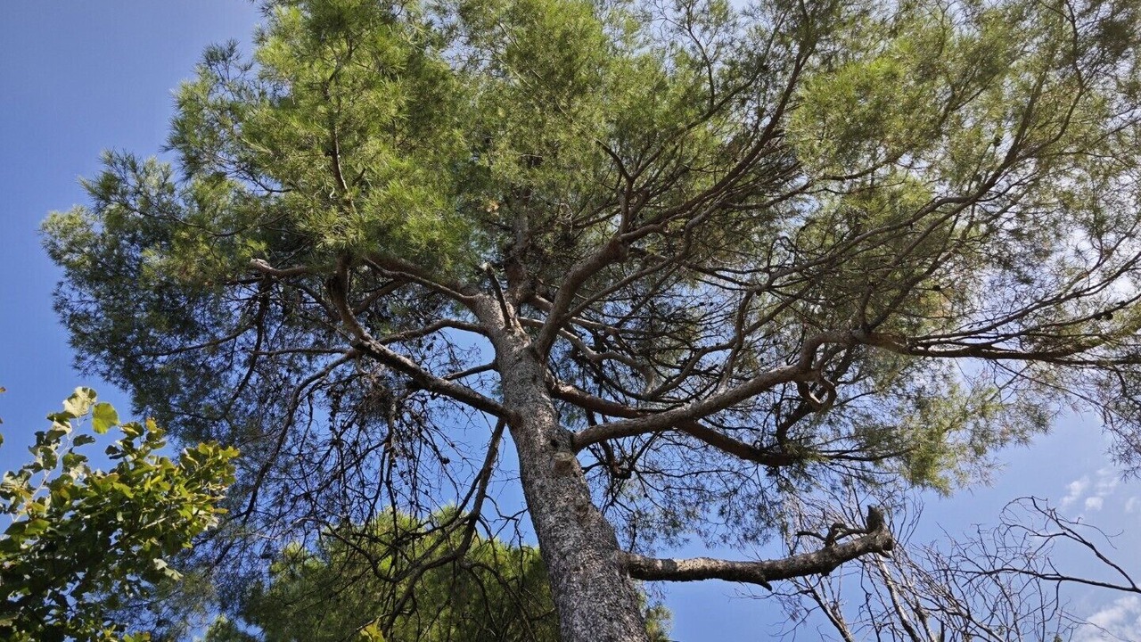 Photo of Others in Pesaro