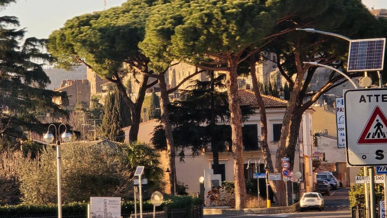 Photo of Others in Bolsena