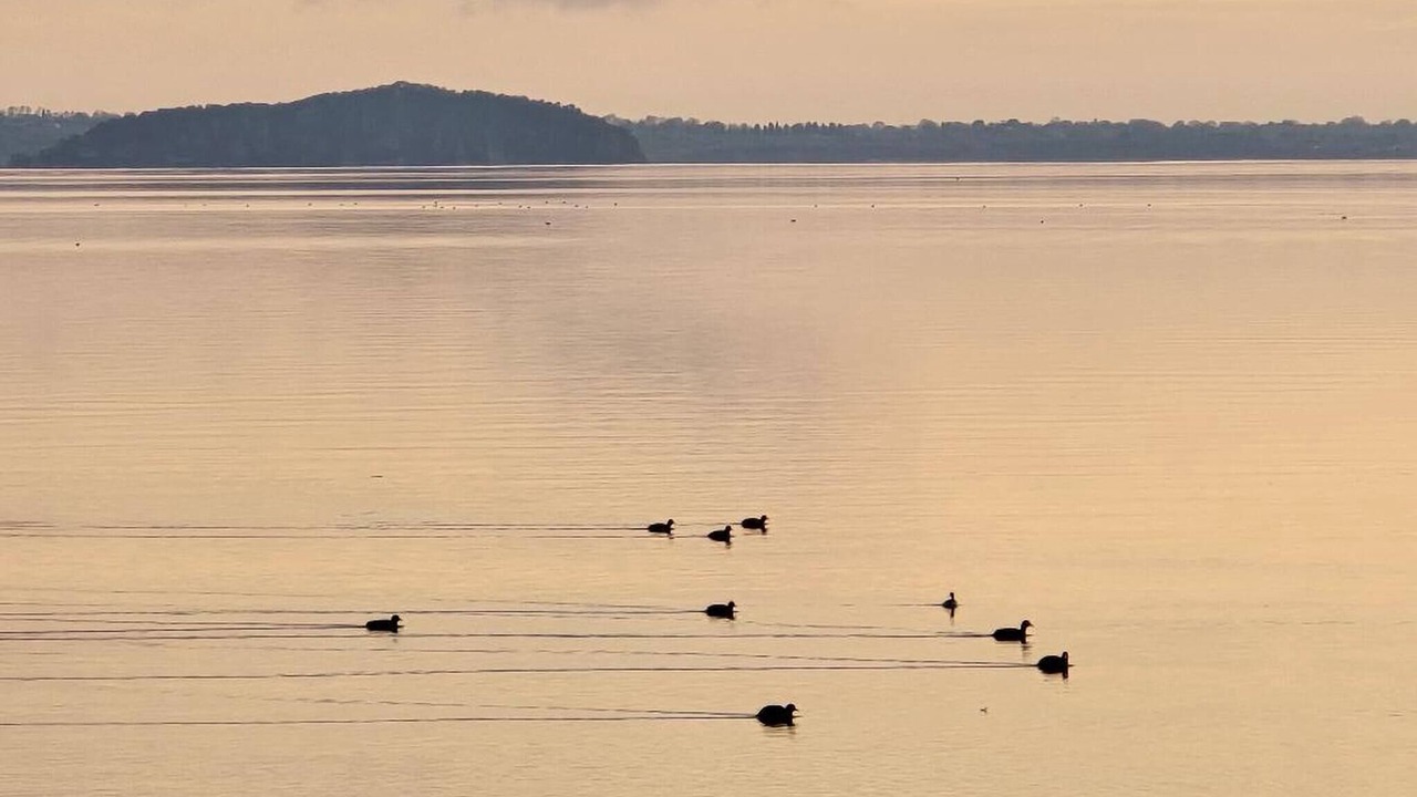 Photo of Others in Bolsena