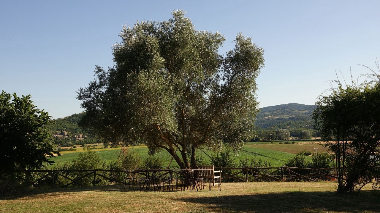 Photo of Outdoor in Bagnaia