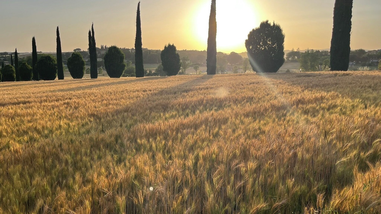 Photo of Others in Bagnaia