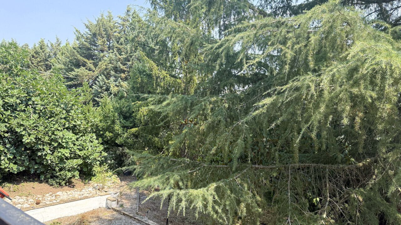 Photo of Outdoor in Montemiletto