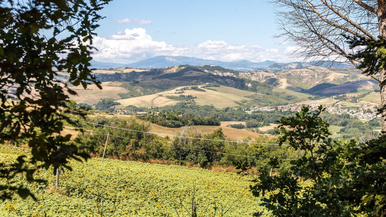 Photo of Others in Monte Fabbri