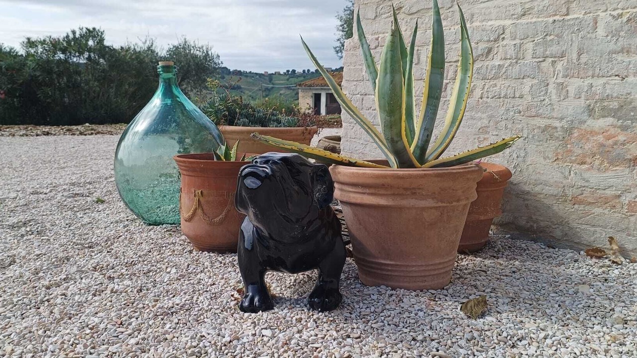 Photo of Outdoor in Morro d'Alba