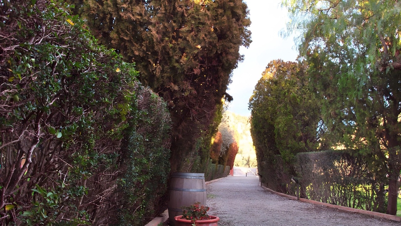 Photo of Outdoor in Crotone