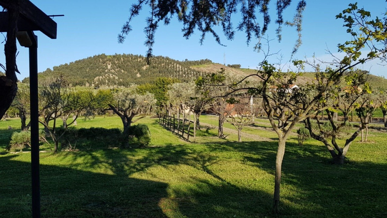 Photo of Outdoor in Crotone