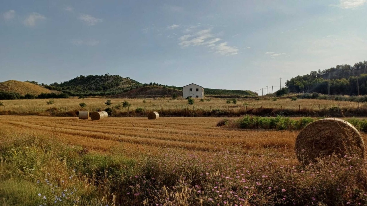 Photo of Others in Crotone