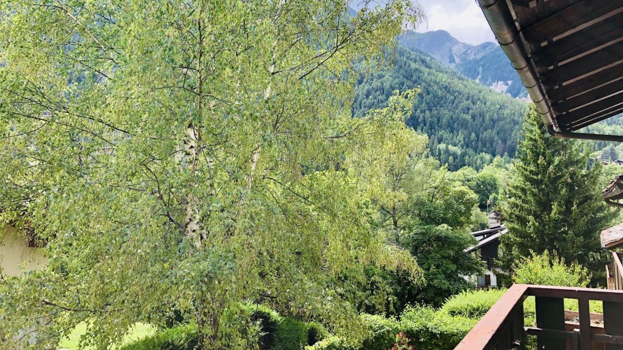 Photo of Outdoor in Courmayeur