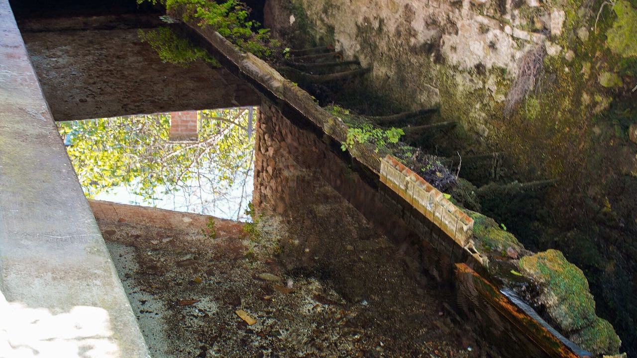 Photo of Others in Narni