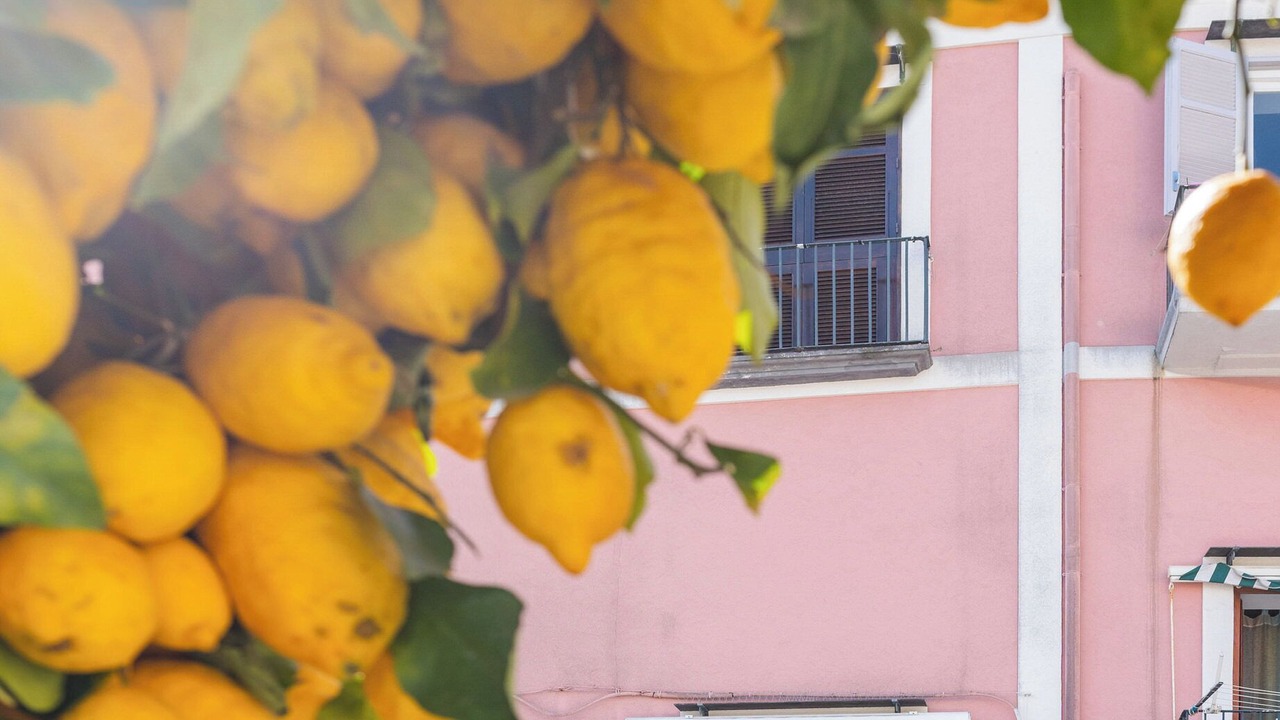 Photo of Others in Procida