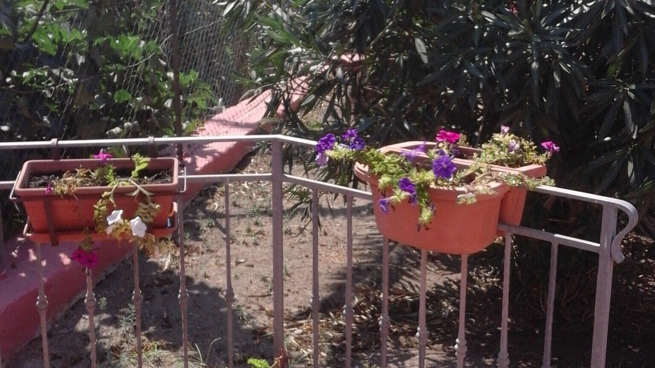 Photo of Outdoor in Ventotene