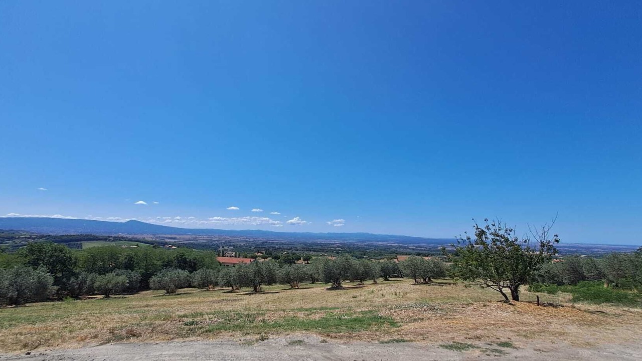 Photo of Others in Montefiascone