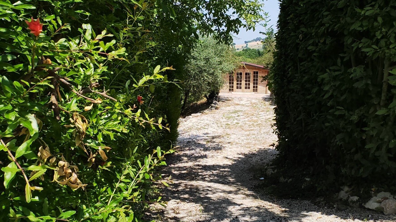 Photo of Outdoor in Filottrano