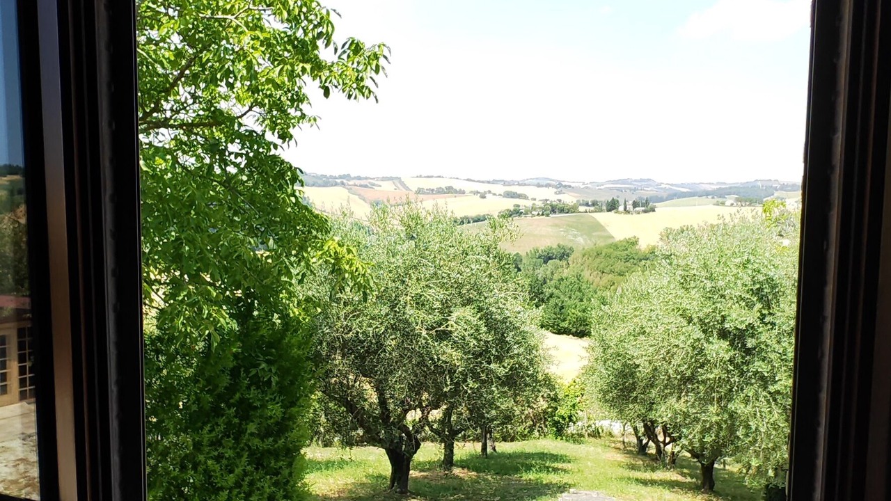 Photo of Others in Filottrano