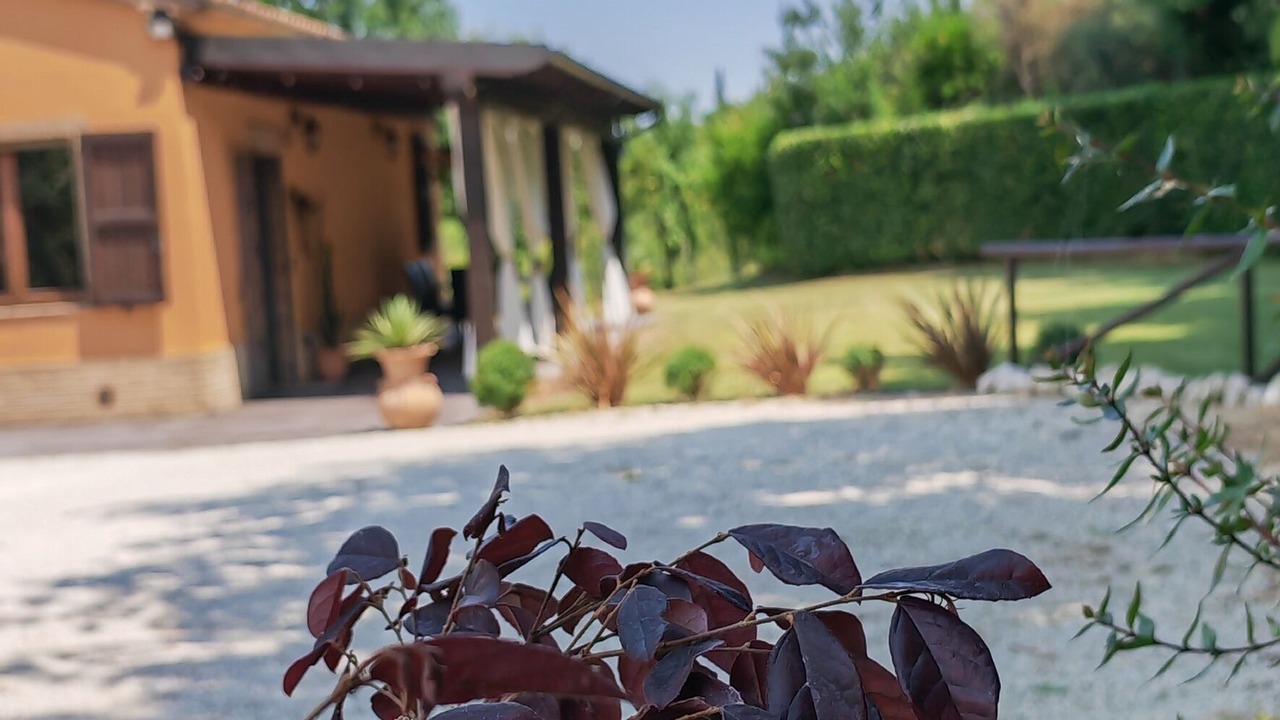 Photo of Outdoor in Filottrano