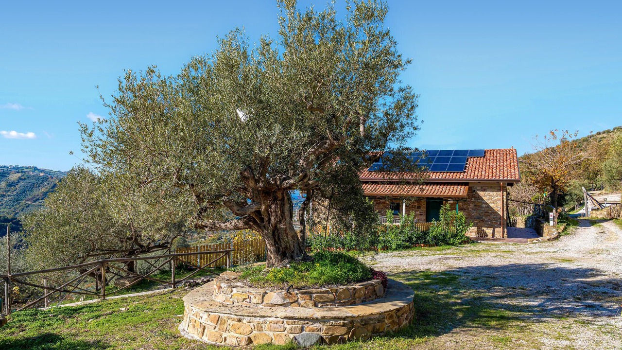Photo of Others in Laureana Cilento
