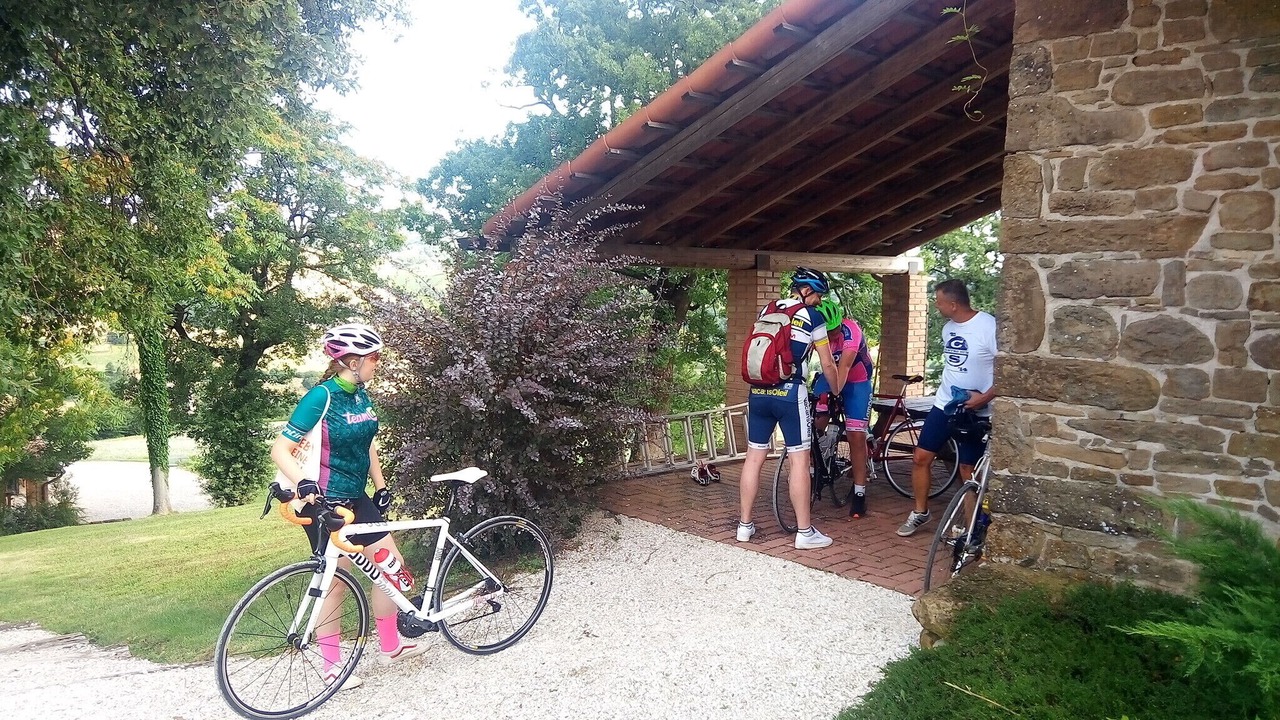 Photo of Others in Pergola