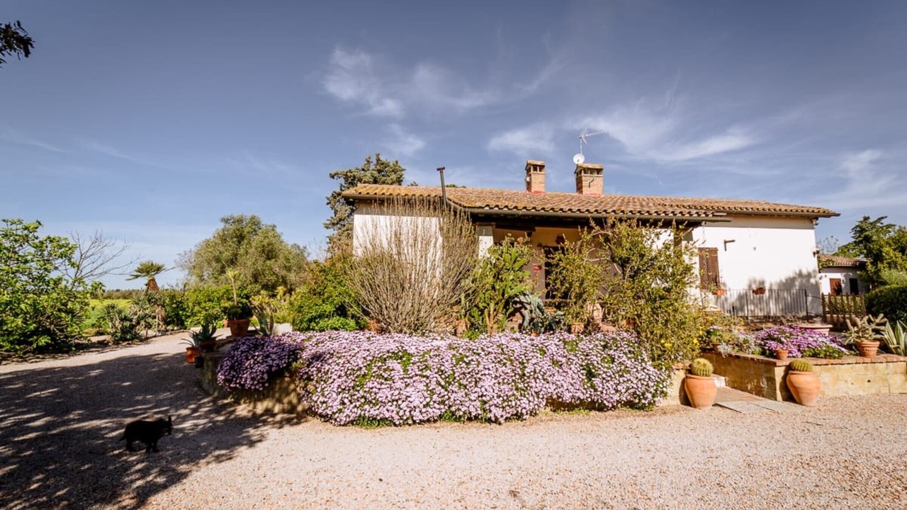 Photo of Outdoor in Grosseto