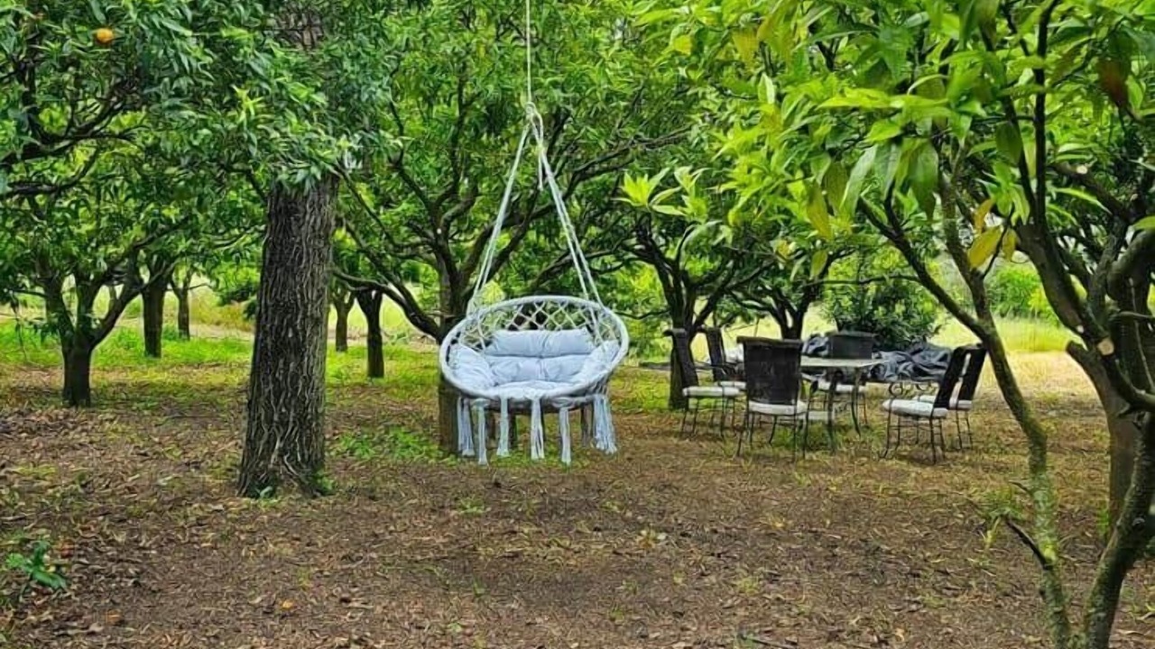 Photo of Outdoor in Angri
