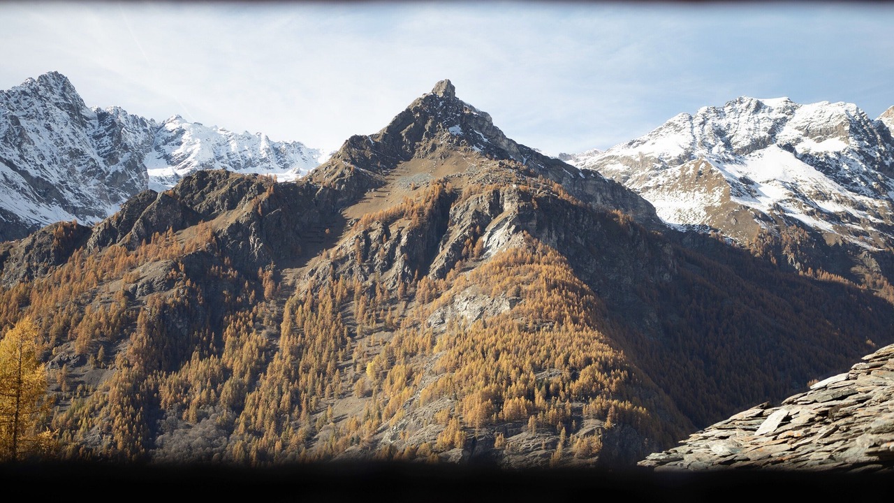Photo of Others in Valtournenche