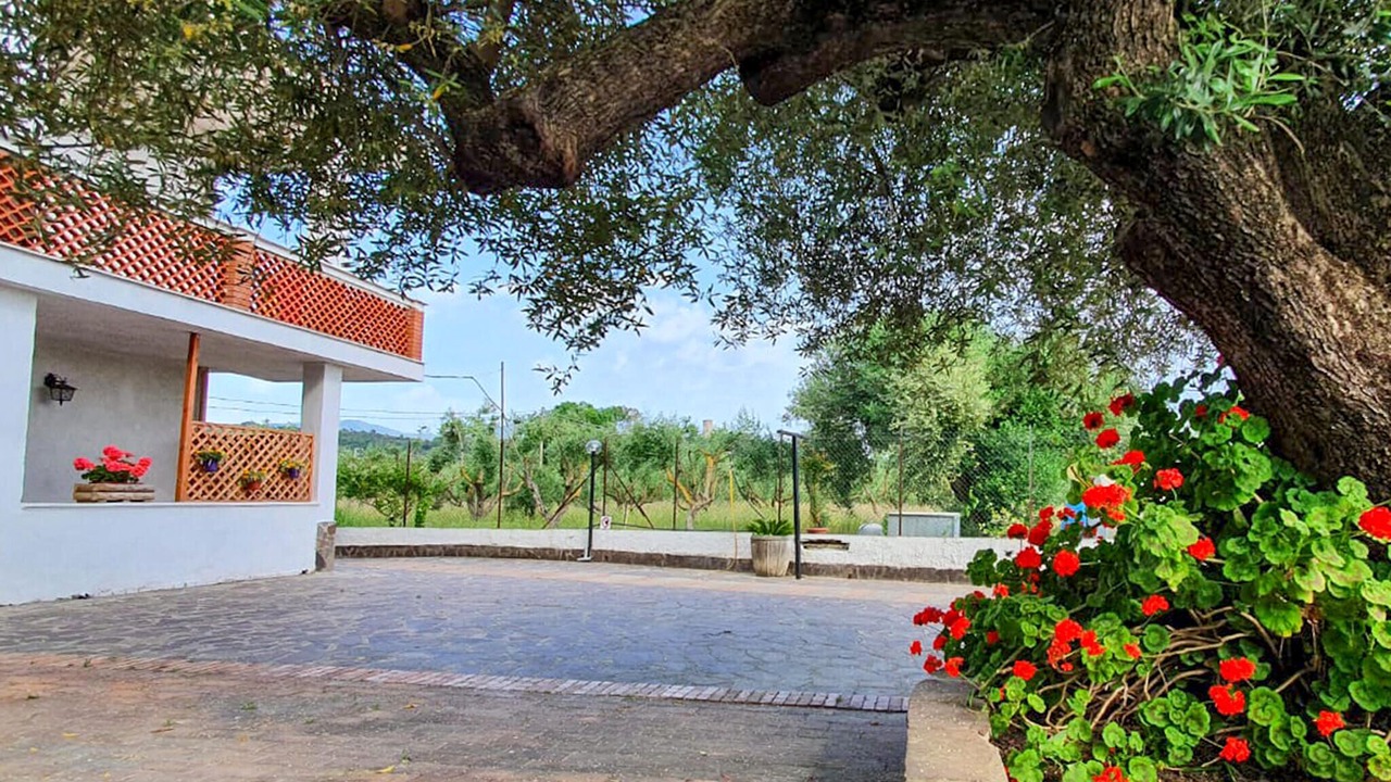Photo of Others in Casal Velino