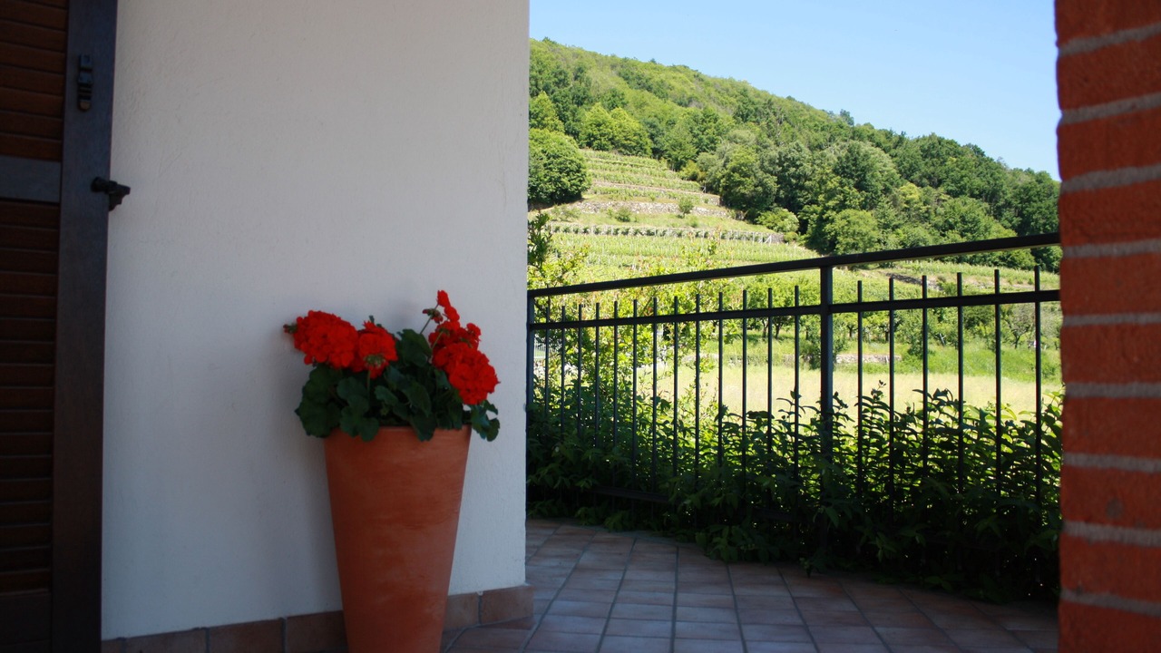 Photo of Outdoor in Piverone