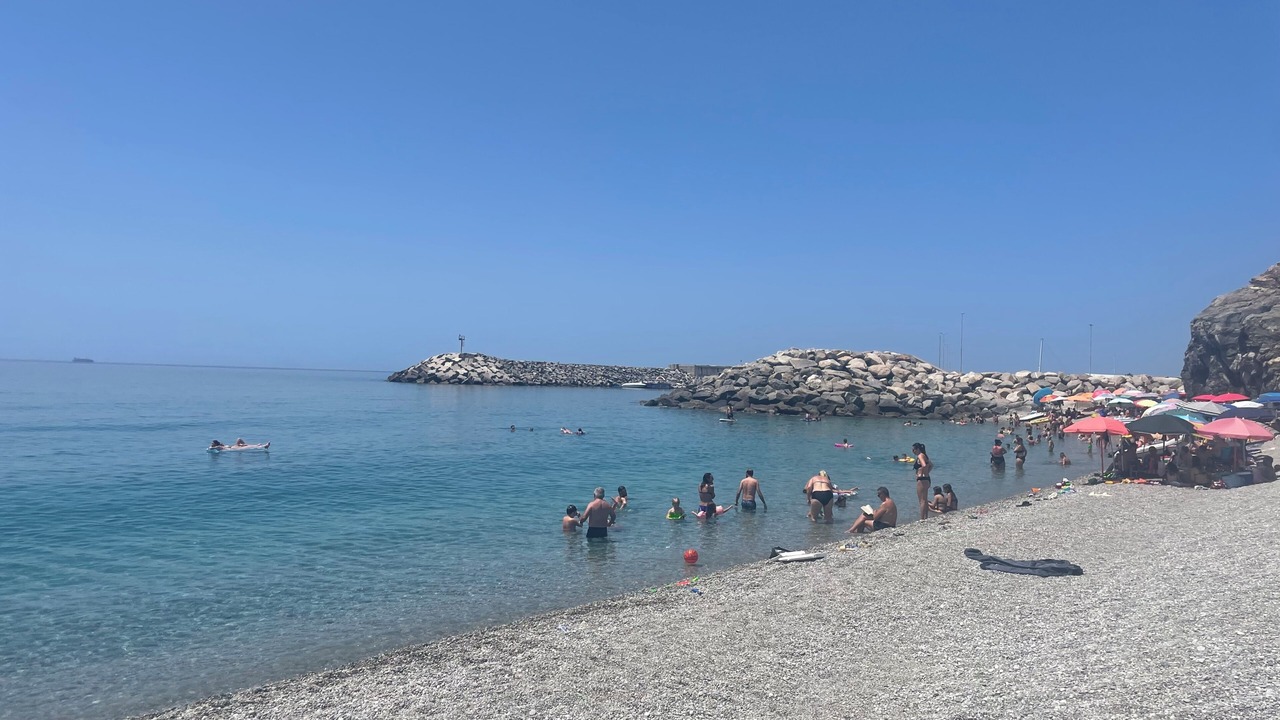 Photo of Others in Palmi