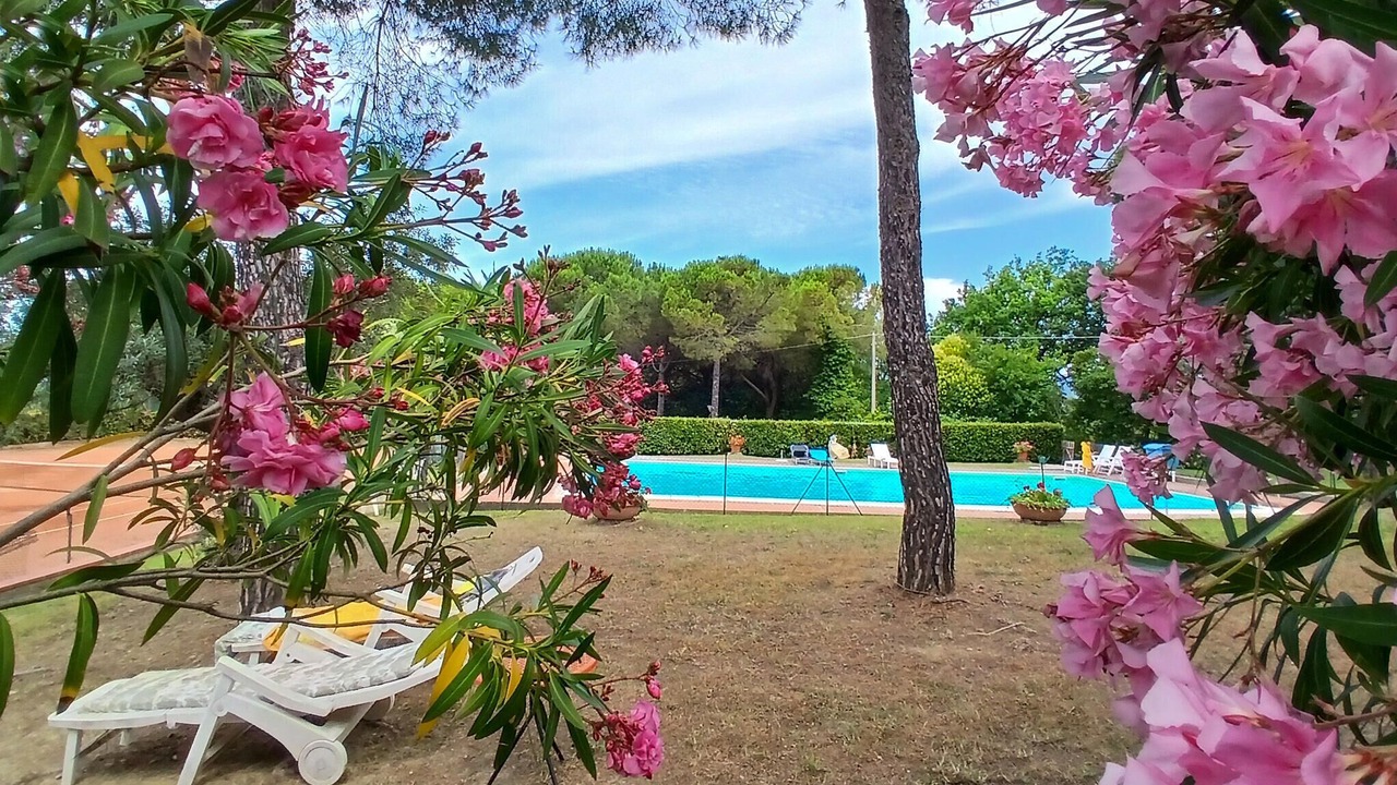 Photo of Outdoor in Montescudaio