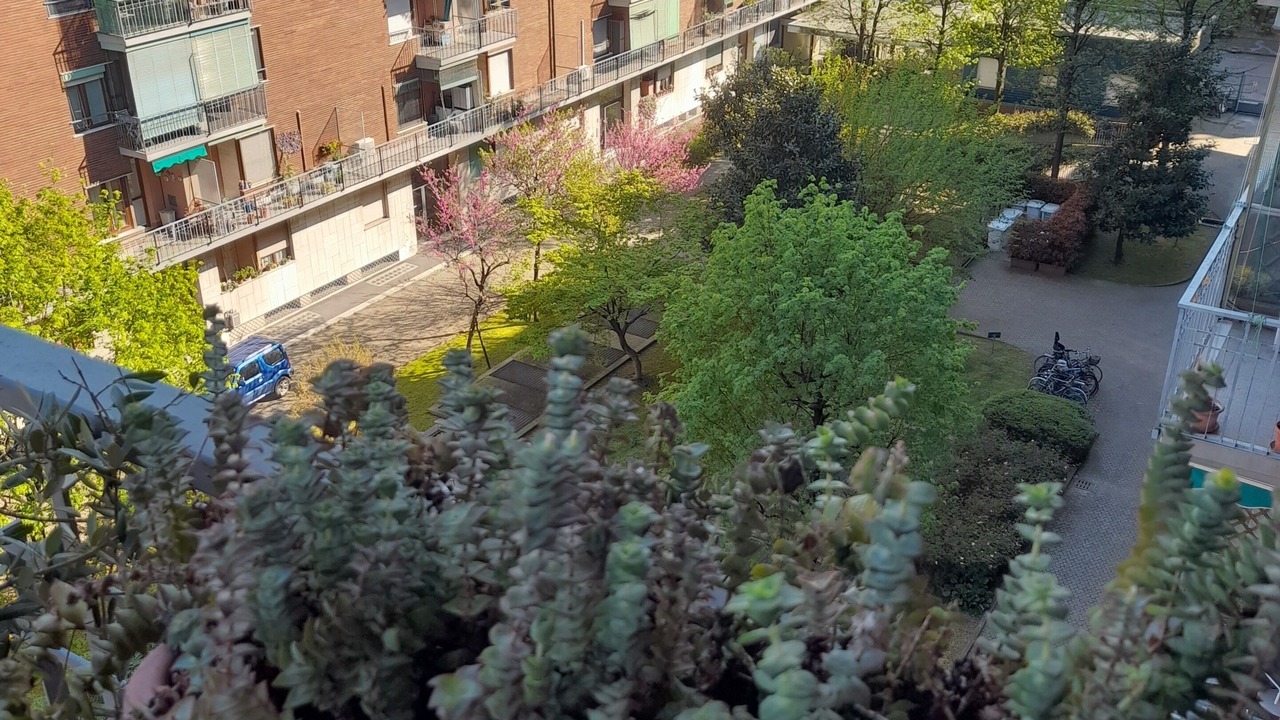 Photo of Patio Balcony in Binda