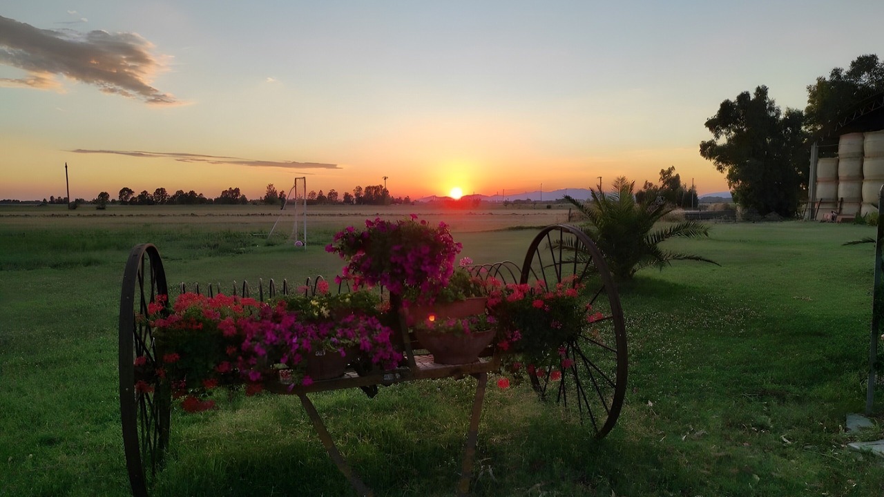 Photo of Outdoor in Grosseto