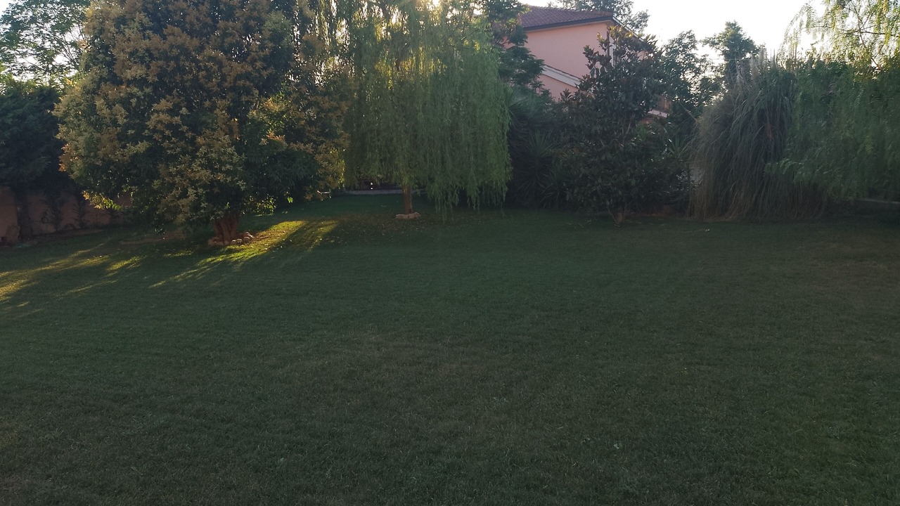 Photo of Outdoor in San Giovanni Teatino