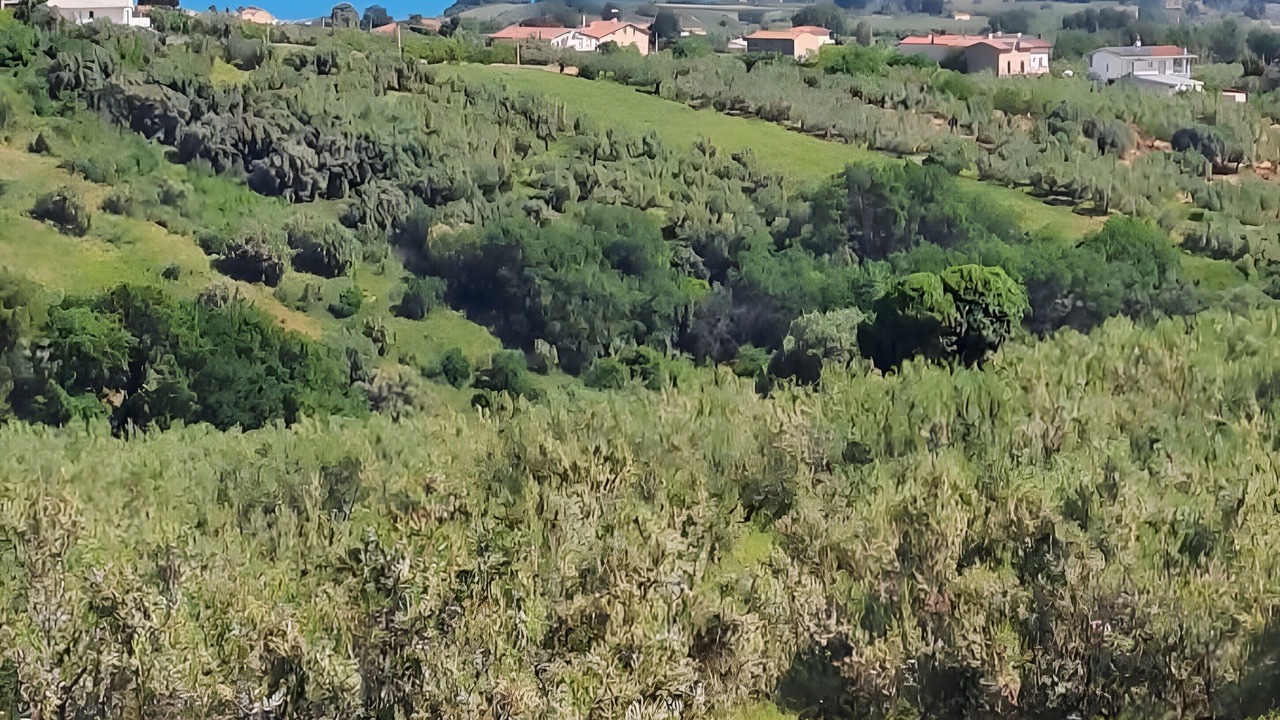 Photo of Others in Paglieta