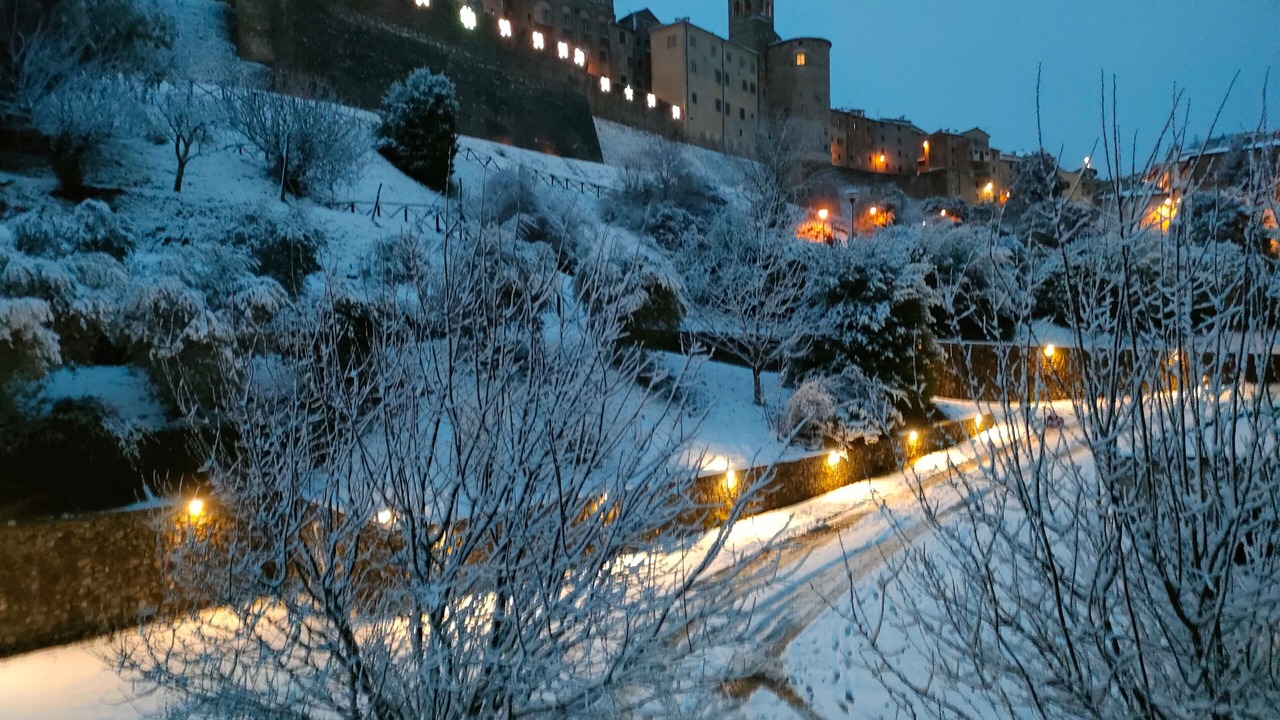 Photo of Others in Anghiari