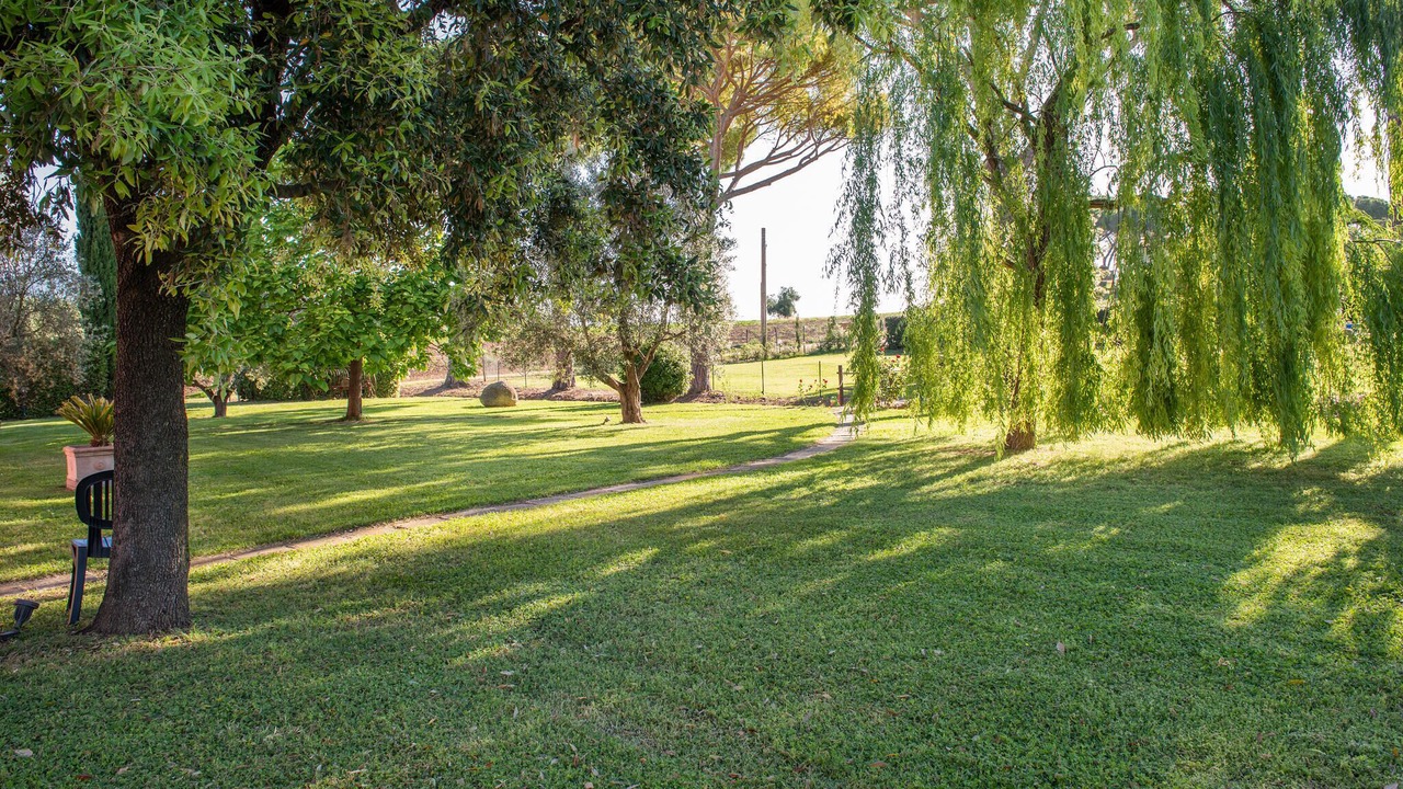 Photo of Others in Roccastrada